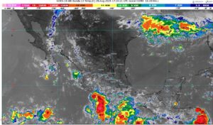 WhatsApp Image 2025-08-29 at 1.01.32 PM