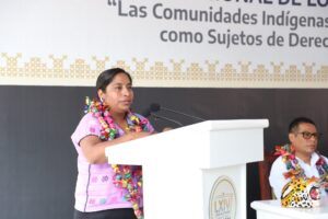 diputada indígena Catalina Apolinar Salgado