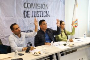Comisión de Justicia Pinchazos