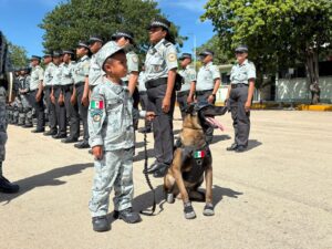Diputados avalan reforma para que Senado ratifique mandos de la Guardia Nacional