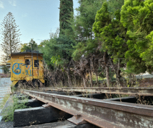 Diseño sin título (29)