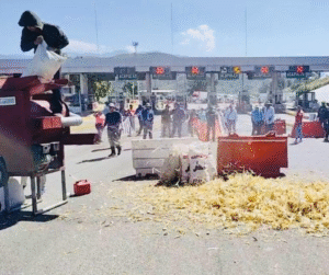 Diseño sin título (64)