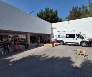 Diseño sin título – 2026-01-08T132637.675