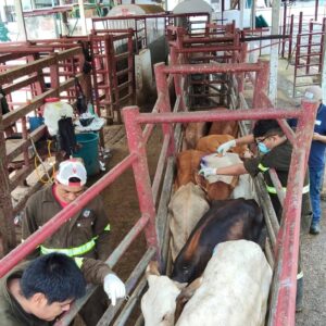 556503386_18536678254035374_7939869832433817399_n