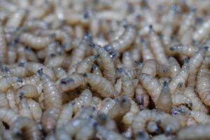 64c476e1-a2b0-48ef-8ad8-6a9581bf096a