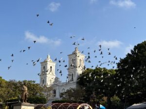 WhatsApp Image 2026-02-13 at 10.41.39 AM