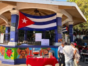 WhatsApp Image 2026-02-15 at 9.29.33 PM