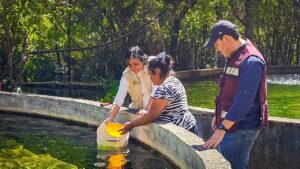 de3d74b6-1e18-4dc1-8b18-4b9e956f0234