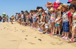 1050fc83-a036-4d6b-a6e0-2e94d50d73a0