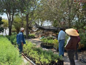 696bedc3-94d9-403c-a495-926819c81f75