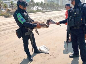 99acacea-2beb-4956-9bd5-802b162615f0