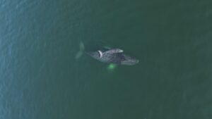 9e5507c3-cae0-4445-a581-5cd7beafc5be