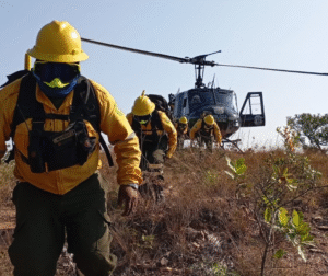 Diseño sin título – 2026-03-16T160140.667