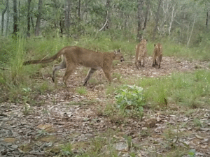 Diseño sin título – 2026-03-19T163845.962