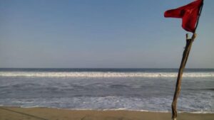 WhatsApp Image 2026-03-09 at 1.23.40 PM