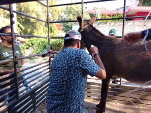 WhatsApp Image 2026-03-16 at 9.00.55 PM