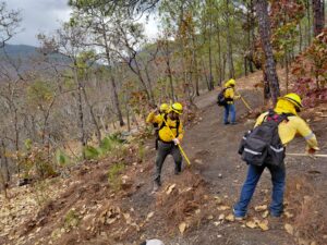 c9e80aae-a302-44b9-95dc-913479586370