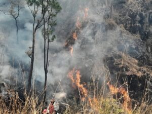 fdd67aea-c1fa-4369-8e6a-d2b634da59e4