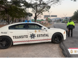 Diseño sin título – 2026-05-25T082505.133